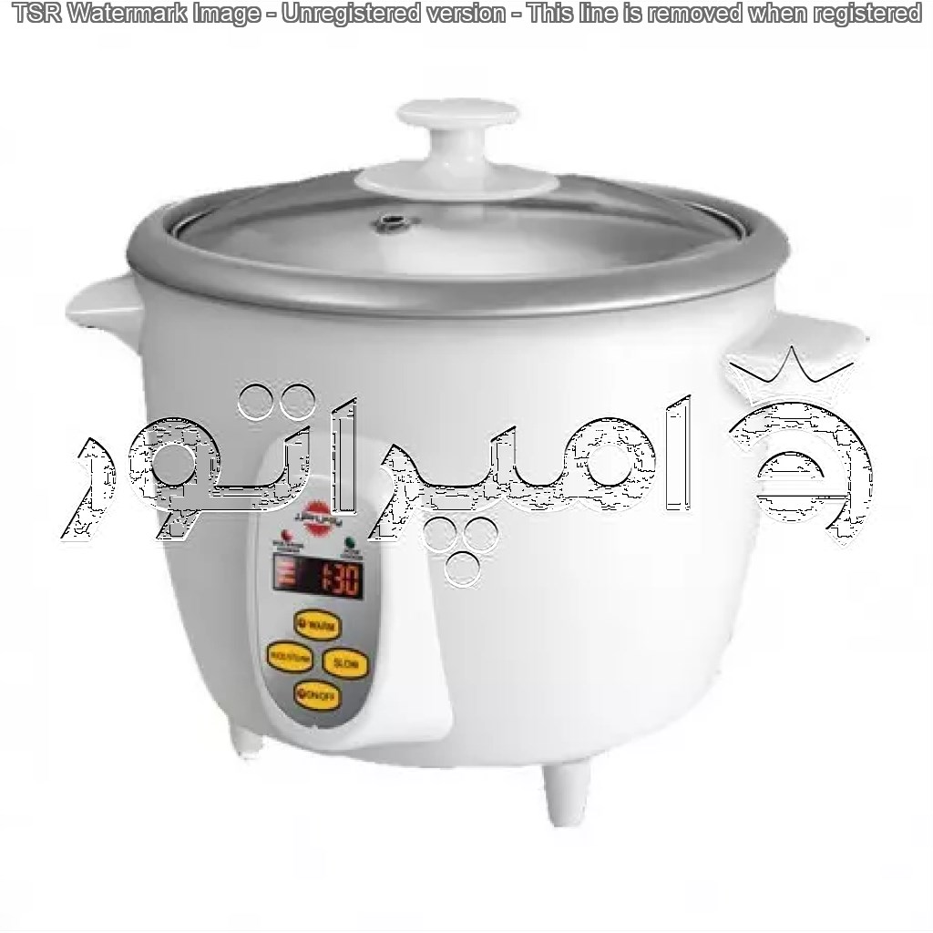 پلوپز مولتی کوکر4نفره پارس خزر