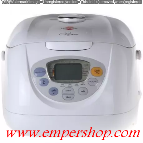 پلوپز 4 نفره دیجیتال پارس خزر مدل 101P